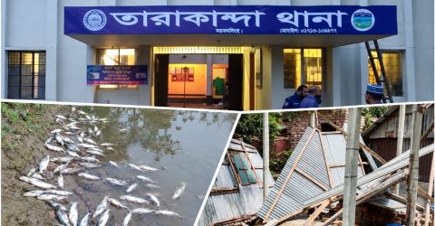 ফিশারীতে বিষপ্রয়োগ ও দুর্ধর্ষ লুটপাট, আহত ১: মামলা প্রত্যাহারের দাবিতে তাণ্ডব