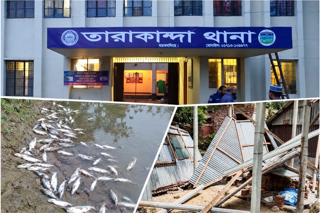 ফিশারীতে বিষপ্রয়োগ ও দুর্ধর্ষ লুটপাট, আহত ১: মামলা প্রত্যাহারের দাবিতে তাণ্ডব